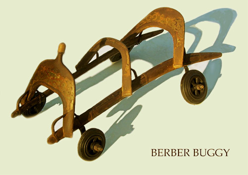 berber buggy